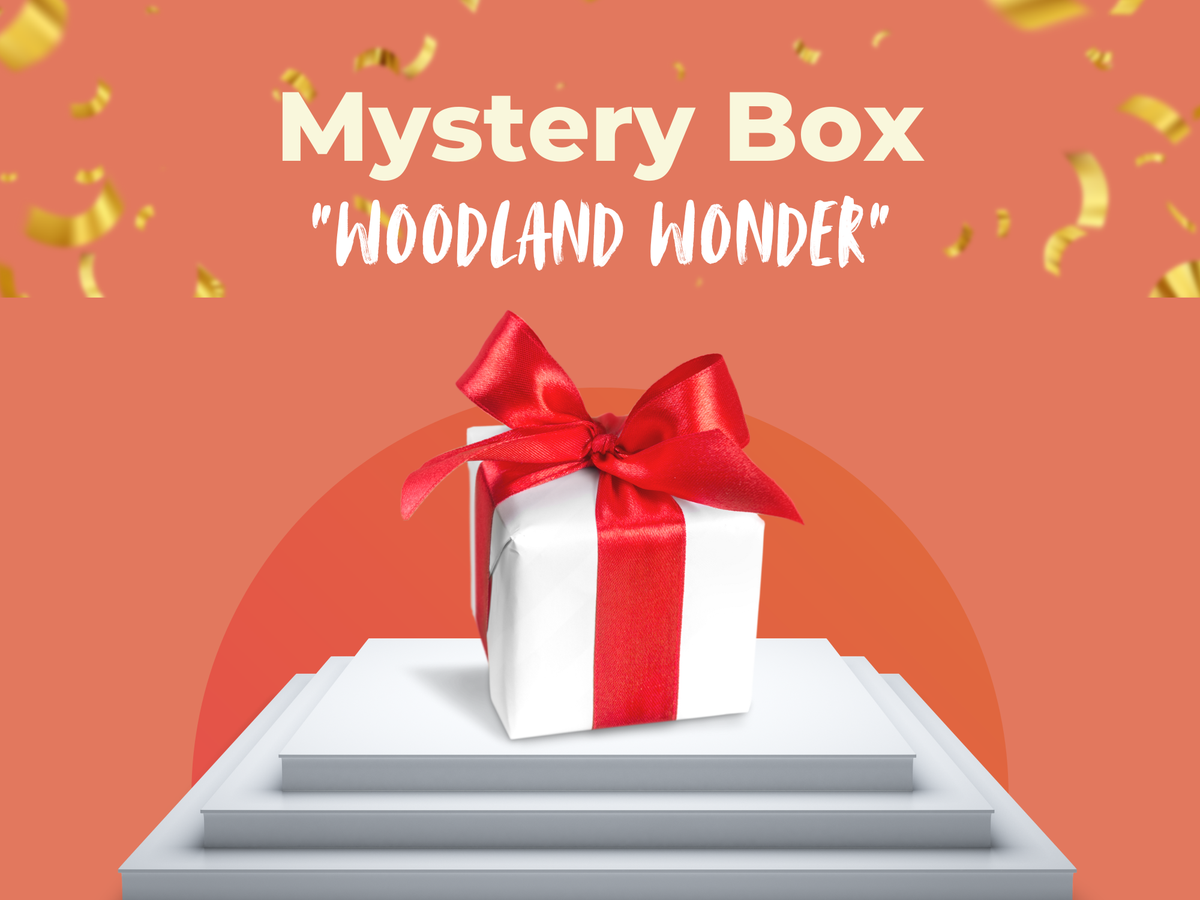 Mystery Box - Woodland Wonder