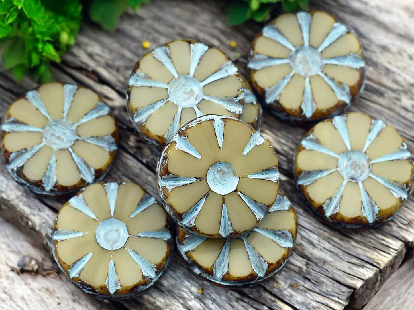 *8* 12mm Turquoise Washed Opaque Sandy Beige Cosmo Flower Beads