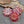 Flower Beads - Czech Glass Beads - Focal Beads - Czech Glass Flowers - Daisy Beads - 18mm - 6pcs - (6163)