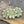 Flower Beads - Czech Glass Beads - Focal Beads - Czech Glass Flowers - Daisy Beads - 18mm - 6pcs - (4194)