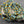 Czech Glass Beads - Czech Glass Rondelle - Rondelle Beads - Fire Polished Beads - 3x5mm - 30pcs - (1363)