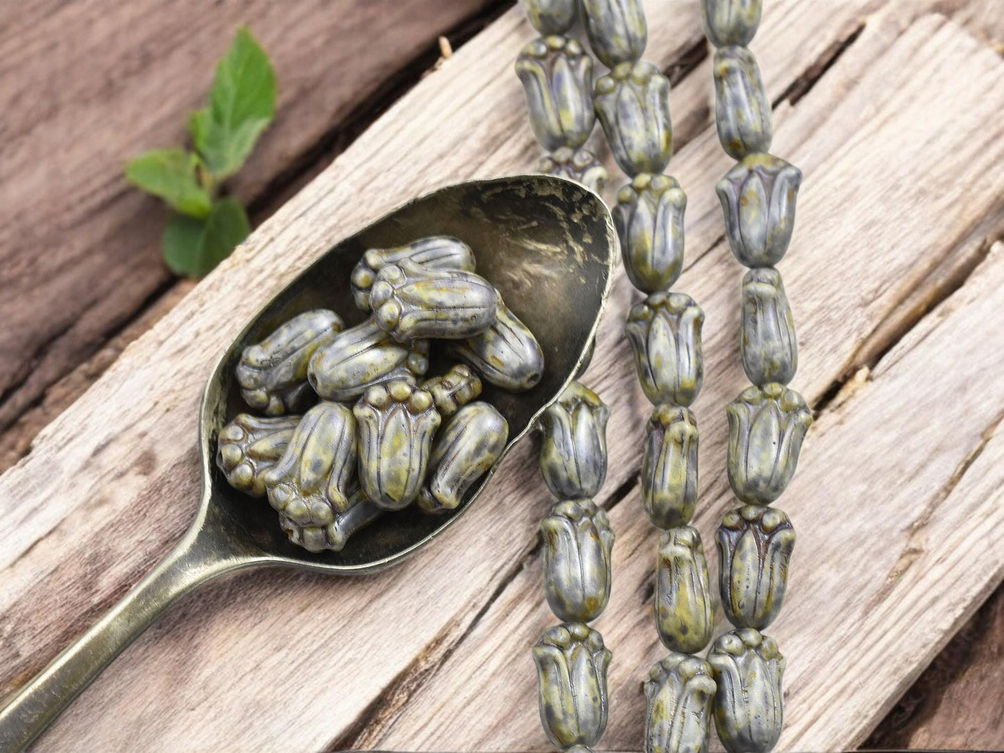 Czech Glass Beads - Flower Beads - Tulip Beads - Czech Glass Flowers - Czech Flower Beads - 12x8mm - (5433)