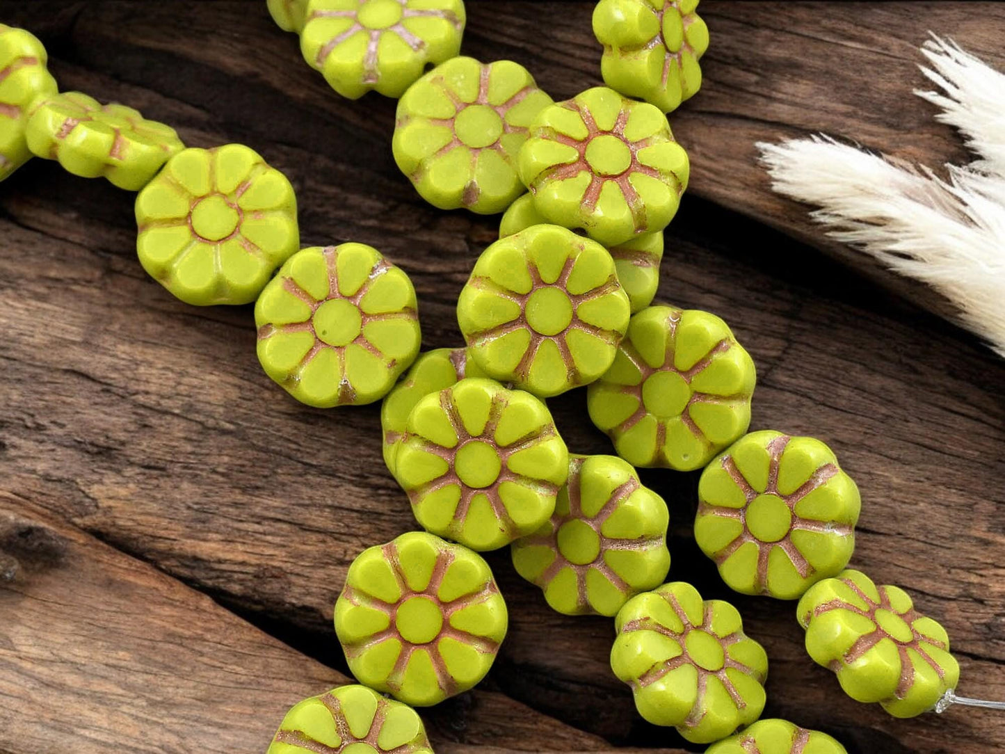*8* 12mm Bronze Washed Opaque Chartreuse Cosmo Flower Beads