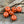 *10* 11x8mm Black Washed Opaque Orange Pumpkin Rondelle Beads