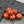 *10* 11x8mm Black Washed Opaque Orange Pumpkin Rondelle Beads