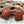 Czech Glass Beads - Turtle Beads - Picasso Beads - Tortoise Beads - 19x14mm - 2pcs - (6003)