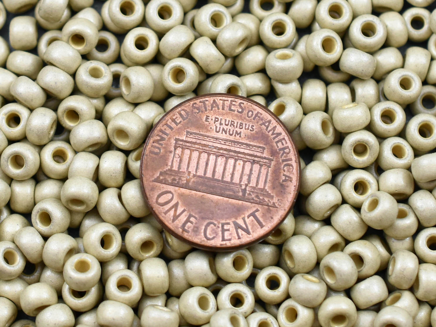 Silver Seed Beads - Size 6 Seed Beads - Miyuki 6-4201F - Size 6 Beads - Size 6/0 - Matte Galvanized Silver Duracoat - 15 grams (2821)