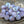 Czech Glass Beads - Cathedral Beads - Purple Beads - Fire Polish Beads - Choose from 6mm or 8mm