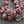 Czech Glass Beads - Central Cut Beads - Round Beads - Picasso Beads - Czech Beads - Pink Beads - 9mm - 15pcs - (1534)