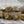 Picasso Beads - Ammonite Beads - Czech Glass Beads - Fossil Beads - Snail Shell Beads - 17x13mm - 6pcs - (A59)