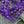 Czech Glass Beads - 2mm Hole Beads - Large Hole Melon Beads - 6mm Beads - Melon Beads - Purple Beads - Round Beads - 25pcs - (914)