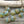 Picasso Beads - Czech Glass Beads - Turbine Beads - Cathedral Beads - Aqua Opal - 7x6mm - 15pcs (3344)