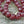 Czech Glass Flowers - Flower Beads - Czech Beads - Round Beads - Rose Beads - Ruby Red Beads - 10mm - 15pcs - (1065)