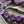 Flower Beads - Czech Glass Beads - Hawaiian Flower Beads - Floral Beads - 16pcs - 9mm - (A357)