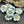 Flower Beads - Czech Glass Beads - Hawaiian Flower Beads - 16pcs - 9mm - (796)