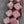 Czech Glass Beads - Diafan Beads - Deco Beads - Fan Beads - 17mm - 8pcs - (4651)