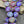 Bird Beads - Czech Glass Beads - Laser Etched Beads - Tattoo Beads - 14mm - 8pcs - (4786)