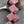 Czech Glass Beads - Diafan Beads - Deco Beads - Fan Beads - 17mm - 8pcs - (4651)