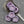 Flower Beads - Czech Glass Beads - Hibiscus Beads - Hawaiian Flower Beads - Picasso Beads - 10pcs - 14mm - (5677)