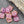 Czech Glass Beads - Czech Flower Beads - Czech Glass Flowers - Picasso Beads - Square Flowers - 11mm Flower - 10pcs - (5113)