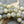 Picasso Beads - Czech Glass Beads - Large Glass Beads - Druk Beads - Chunky Beads - 8pcs - 12mm - (4810)
