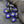 Czech Glass Beads - Hawaiian Flower Beads - Picasso Beads - Czech Glass Flowers - 8mm - 15pcs - (4492)