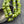 Czech Glass Beads - Large Hole Beads - Roller Rondelle - Rondelle Beads - 3mm Hole Beads - Fire Polished Beads - 6x9mm - 25pcs (586)