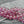 Picasso Beads - Czech Glass Beads - Saturn Beads - Pink Beads - Planet Beads - 21pcs - 10x12mm - (A577)