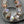 Czech Glass Beads - Picasso Beads - Saturn Beads - Saucer Beads - 10x8mm - 15pcs - (4008)
