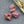 Conch Shell Beads - Czech Glass Beads - Sea Shell Beads - Picasso Beads - 15x12 - 8pcs (1831)