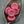 Sunflower Beads - Czech Glass Beads - Picasso Beads - Coin Beads - Flower Beads - 13mm - 12pcs (1604)