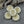 Flower Beads - Sunflower Beads - Czech Glass Beads - Picasso Beads - Coin Beads - 13mm - 12pcs (939)
