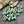 20g Green Turquoise Travertine 2/0 Matubo Beads