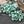Load image into Gallery viewer, 10g 3 Cut Green Turquoise Travertine 2/0 Matubo Beads
