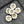 *12* 12mm Gold Washed Ivory Mercury Hawaiian Flower Beads