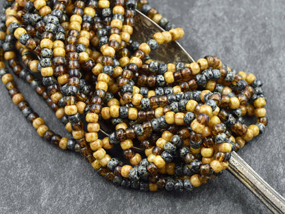 Picasso Seed Beads - Seed Beads - Czech Glass Beads - Size 6 Seed Beads - 6/0 - 22" Strand - (A498)