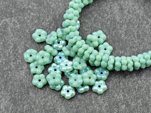 Czech Glass Beads - Glass Spacer Beads - Daisy Spacers - Daisy Beads - Flower Beads - Forget Me Not Beads - 5mm - 50pcs - (161)