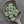 Flower Beads - Picasso Beads - Czech Glass Beads - 7mm Flower Beads - Mini Flower Beads - 12pcs - (1602)