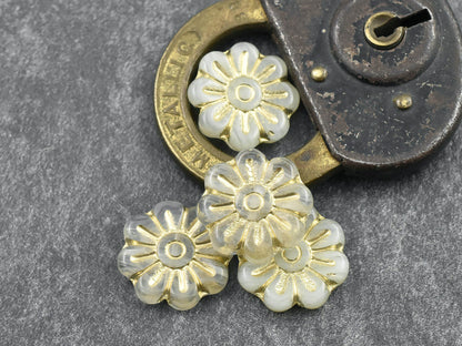 Flower Beads - Czech Glass Beads - Focal Beads - Czech Glass Flowers - Daisy Beads - 18mm - 6pcs - (4191)