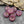 Flower Beads - Czech Glass Beads - Czech Glass Flowers - Picasso Beads - 12mm - 12pcs - (2671)