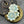 Picasso Beads - Czech Glass Beads - Flower Beads - Focal Beads - Czech Glass Flowers - Daisy Beads - 18mm - 6pcs - (B630)