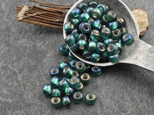 Seed Beads - Size 2 Beads - Czech Glass Beads - 2/0 Beads - 6x4mm - 50 grams (B422)