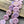 Czech Glass Beads - Dahlia Flower Beads - Floral Beads - Focal Beads - Laser Etched Beads - Coin Beads - 17mm - 8pcs - (6084)