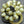 Czech Glass Beads - Picasso Beads - Fire Polished Beads - Vaseline Glass - Center Cut - 10pcs - 10mm - (5355)