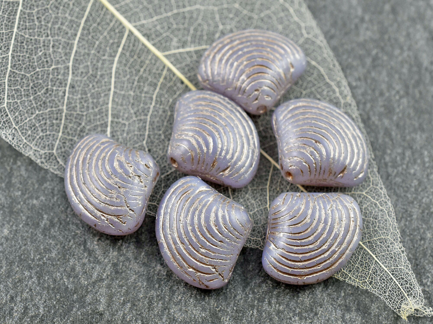 Czech Glass Beads - Sea Shell Beads - Scallop Shell Beads - 15x18mm - 8pcs - (2941)