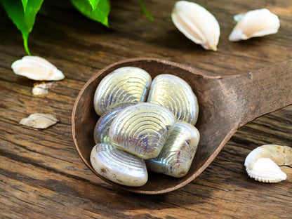 Czech Glass Beads - Sea Shell Beads - Scallop Shell Beads - 15x18mm - 8pcs - (B457)