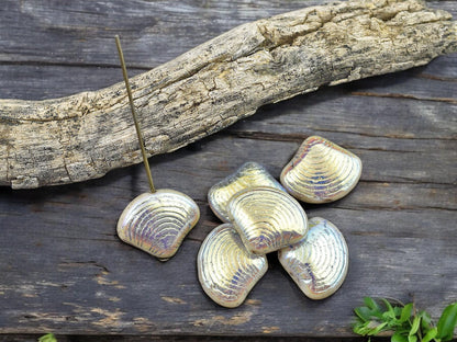 Czech Glass Beads - Sea Shell Beads - Scallop Shell Beads - 15x18mm - 8pcs - (B457)