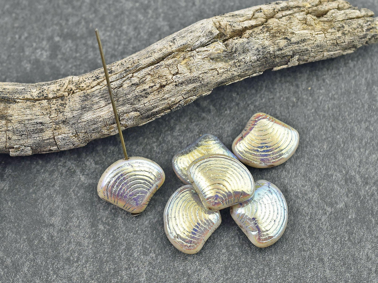 Czech Glass Beads - Sea Shell Beads - Scallop Shell Beads - 15x18mm - 8pcs - (B457)