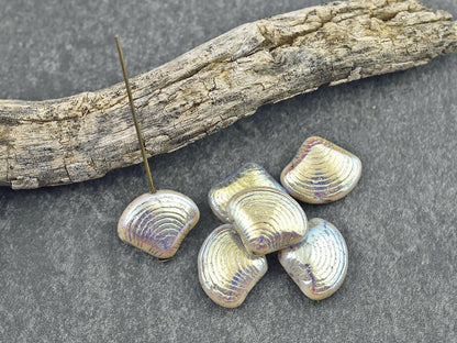 Czech Glass Beads - Sea Shell Beads - Scallop Shell Beads - 15x18mm - 8pcs - (B457)