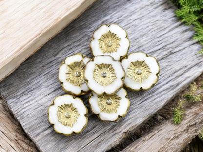 *12* 12mm Gold Washed Ivory Mercury Hawaiian Flower Beads